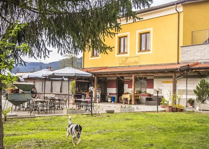 Dell'autista Penzion