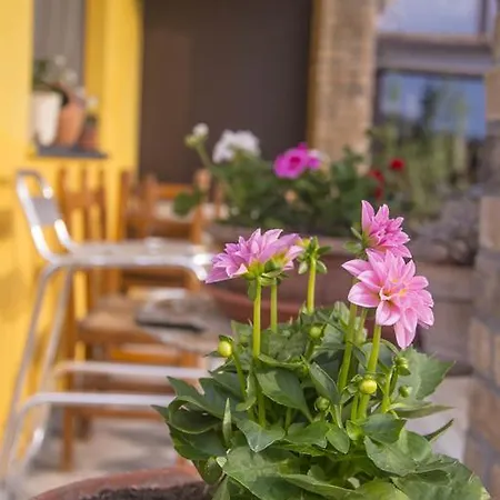 Dell'autista 4*