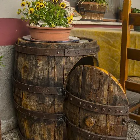 Dell'autista Penzion Brugnato