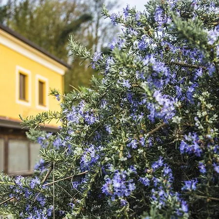 Pensjonat Dell'autista 4*