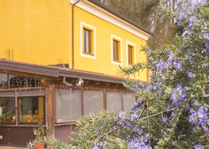 Dell'autista Gasthuis Brugnato